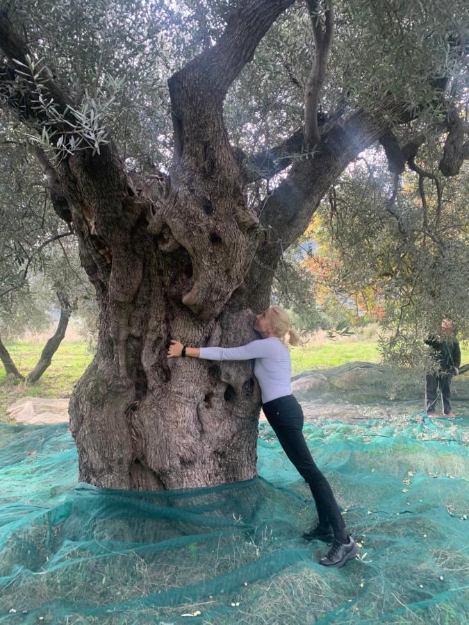 מונטג'ורדאנו Villa Aurora מראה חיצוני תמונה